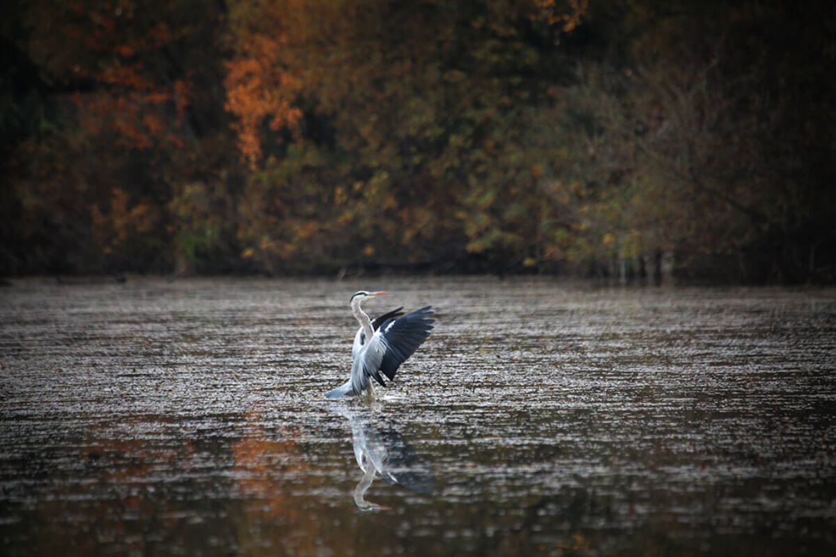 October 2022 horizontal 2