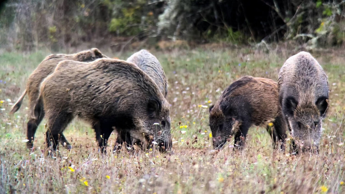 October 2022 horizontal 5