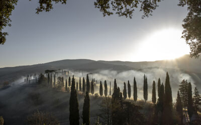 Twl april 2024 landing x2 refresh