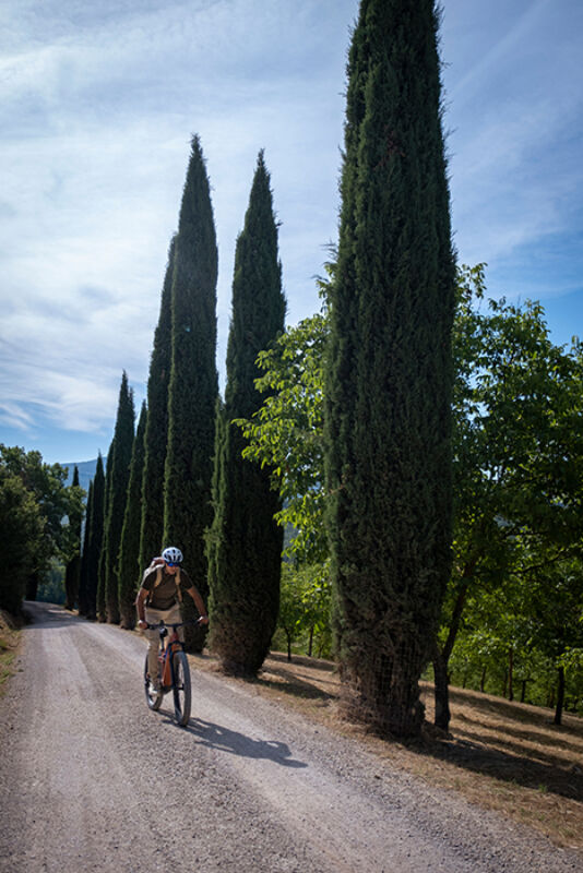 Twl april 2024 refresh horizontal 2