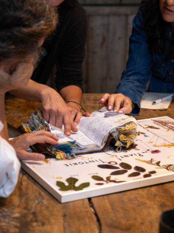 Twl february 2024 horizontal 12