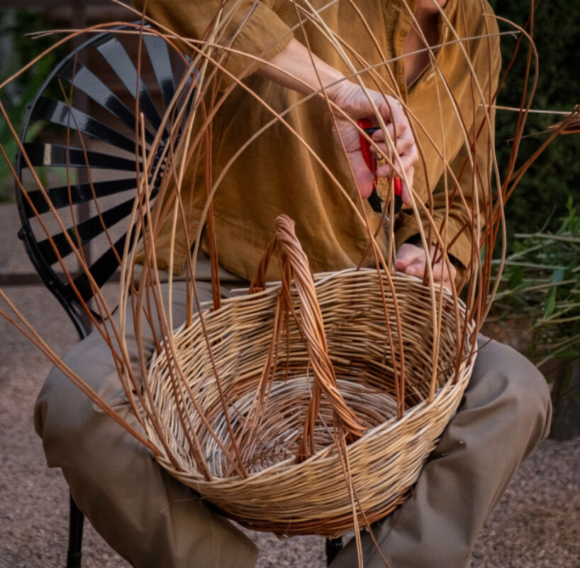 Twl february 2024 horizontal 3