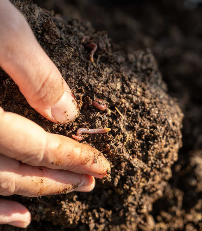 Twl june 2023 horizontal 5