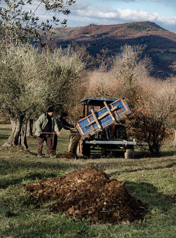 Twl june 2023 horizontal 11