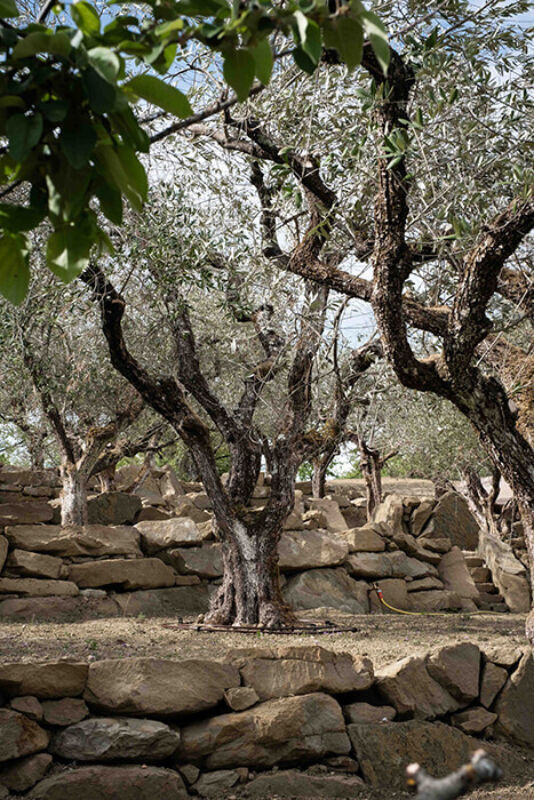 Twl june 2023 horizontal 13