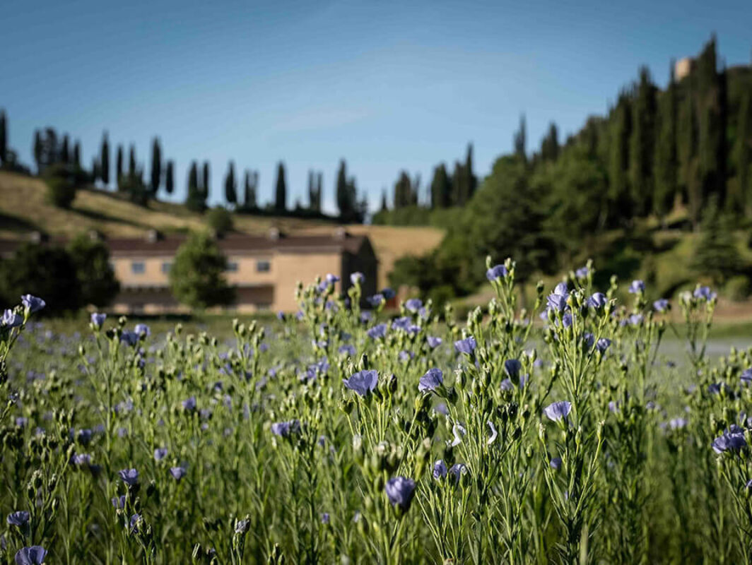 Twl june 2023 horizontal 16