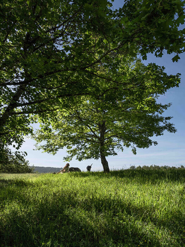 Twl may 2023 horizontal 13