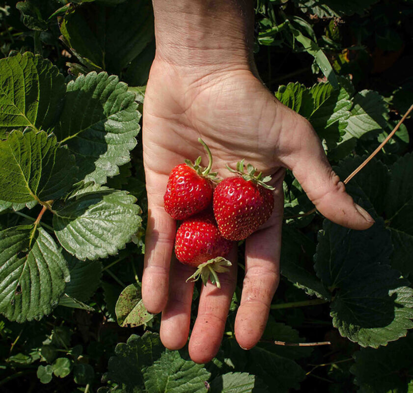 Twl may 2023 horizontal 16