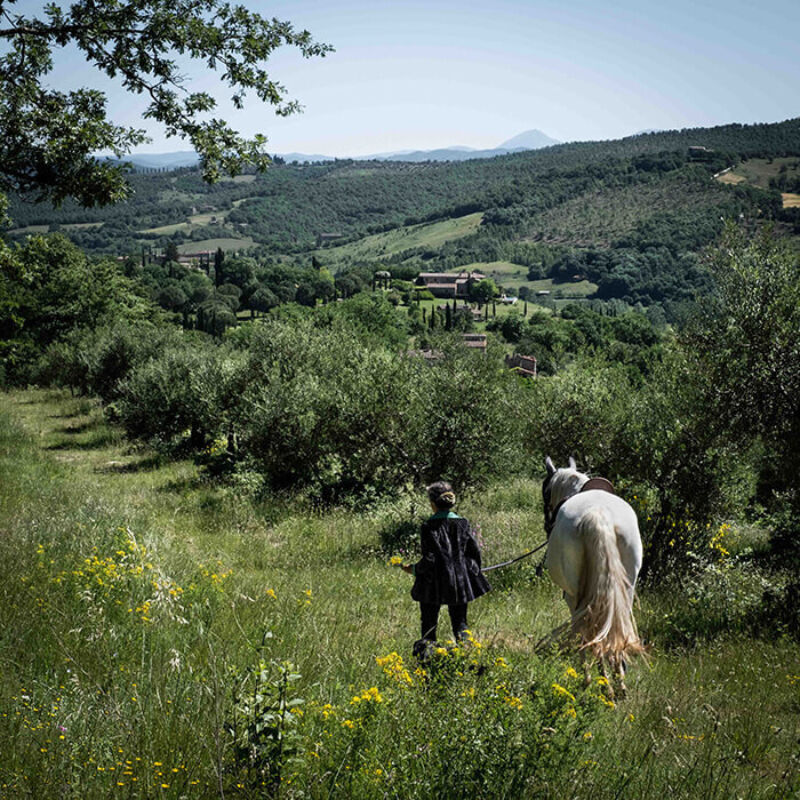 Twl may 2023 horizontal 4