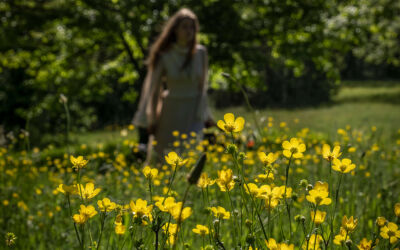 Twl may 2023 landing x2 2023 05 02 102523 zgow