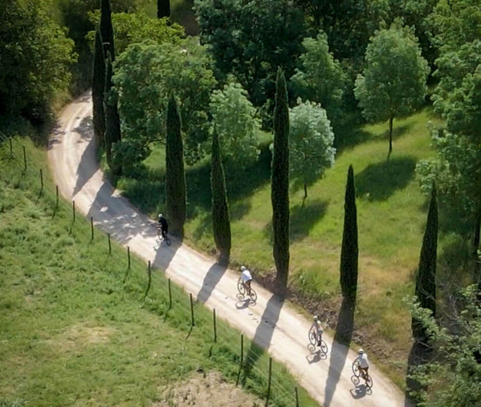 Twl september 2023 horizontal 5